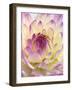 White and Purple Dahlia-Gerhard Bumann-Framed Photographic Print