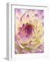White and Purple Dahlia-Gerhard Bumann-Framed Photographic Print