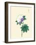 White And Purple Flower On Stem With Green Leaves-Megata Morikaga-Framed Art Print