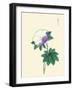 White And Purple Flower On Stem With Green Leaves-Megata Morikaga-Framed Art Print