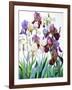 White and Purple Irises-Christopher Ryland-Framed Giclee Print