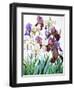 White and Purple Irises-Christopher Ryland-Framed Giclee Print