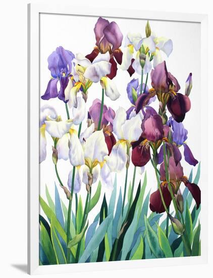 White and Purple Irises-Christopher Ryland-Framed Giclee Print