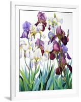 White and Purple Irises-Christopher Ryland-Framed Giclee Print