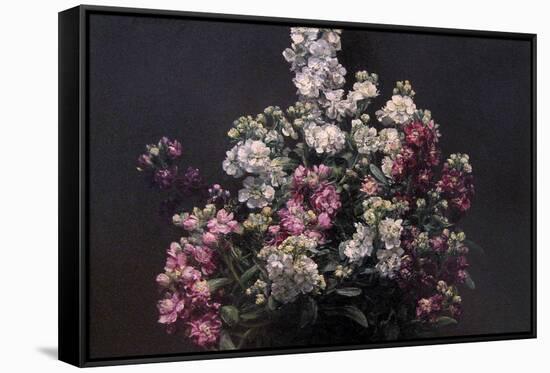 White and Purple Stock-Henri Fantin-Latour-Framed Stretched Canvas