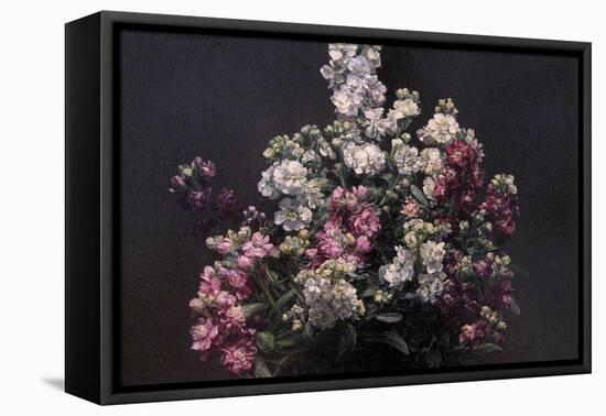 White and Purple Stock-Henri Fantin-Latour-Framed Stretched Canvas