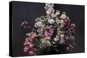 White and Purple Stock-Henri Fantin-Latour-Stretched Canvas