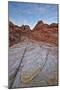 White and Salmon Sandstone Hills, Valley of Fire State Park, Nevada, Usa-James Hager-Mounted Photographic Print