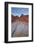 White and Salmon Sandstone Hills, Valley of Fire State Park, Nevada, Usa-James Hager-Framed Photographic Print