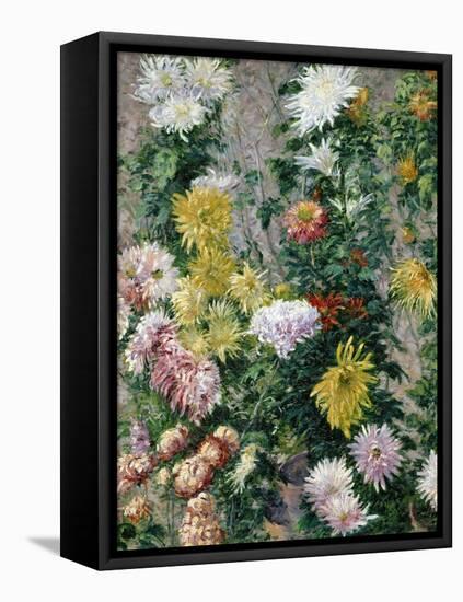 White and Yellow Chrysanthemums, 1893-Gustave Caillebotte-Framed Stretched Canvas