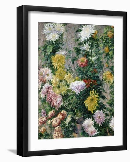 White and Yellow Chrysanthemums, 1893-Gustave Caillebotte-Framed Giclee Print