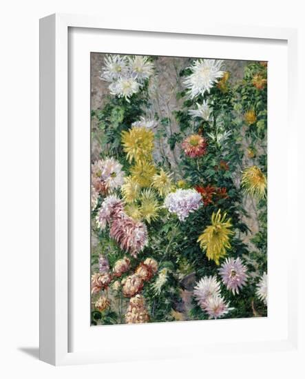 White and Yellow Chrysanthemums, 1893-Gustave Caillebotte-Framed Giclee Print