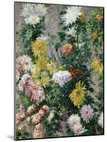 White and Yellow Chrysanthemums, 1893-Gustave Caillebotte-Mounted Giclee Print