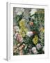 White and Yellow Chrysanthemums, 1893-Gustave Caillebotte-Framed Giclee Print