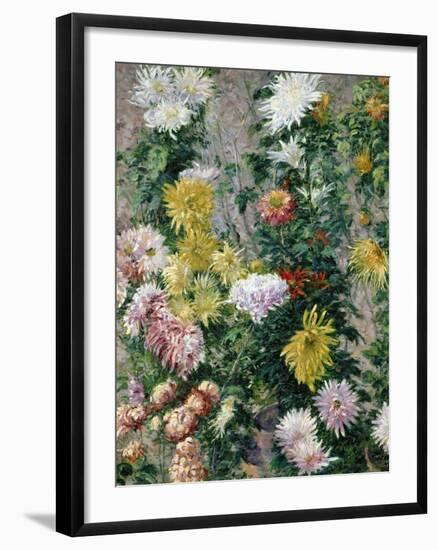 White and Yellow Chrysanthemums, 1893-Gustave Caillebotte-Framed Giclee Print