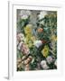 White and Yellow Chrysanthemums, 1893-Gustave Caillebotte-Framed Giclee Print