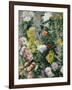 White and Yellow Chrysanthemums, 1893-Gustave Caillebotte-Framed Giclee Print