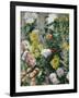 White and Yellow Chrysanthemums, 1893-Gustave Caillebotte-Framed Giclee Print