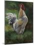 White And Yellow Rooster-Nenad Mirkovich-Mounted Art Print