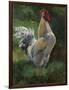 White And Yellow Rooster-Nenad Mirkovich-Framed Art Print