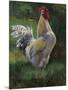White And Yellow Rooster-Nenad Mirkovich-Mounted Art Print