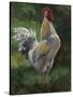 White And Yellow Rooster-Nenad Mirkovich-Stretched Canvas