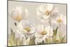 White Anemones-Danhui Nai-Mounted Premium Giclee Print