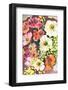 White Anemones-Ania Zwara-Framed Photographic Print