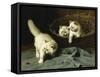 White Angora Kittens with a Beetle-Arthur Heyer-Framed Stretched Canvas