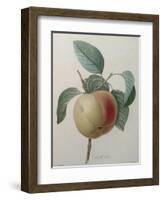 White Apple-Pierre-Joseph Redoute-Framed Art Print