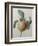 White Apple-Pierre-Joseph Redoute-Framed Art Print