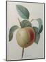 White Apple-Pierre-Joseph Redoute-Mounted Art Print
