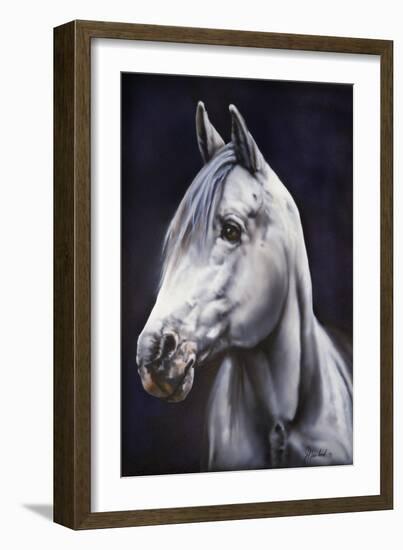 White Arabian Stallion-Jenny Newland-Framed Giclee Print