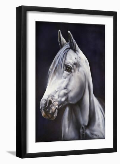 White Arabian Stallion-Jenny Newland-Framed Giclee Print