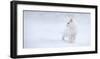 White as Snow-Esmée Prexus-Framed Art Print