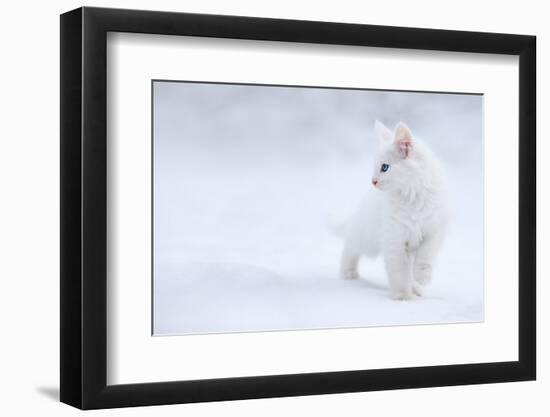 White as Snow-Esmée Prexus-Framed Photographic Print