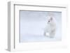 White as Snow-Esmée Prexus-Framed Photographic Print