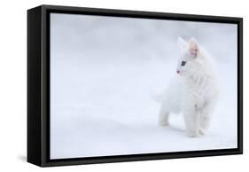 White as Snow-Esmée Prexus-Framed Stretched Canvas