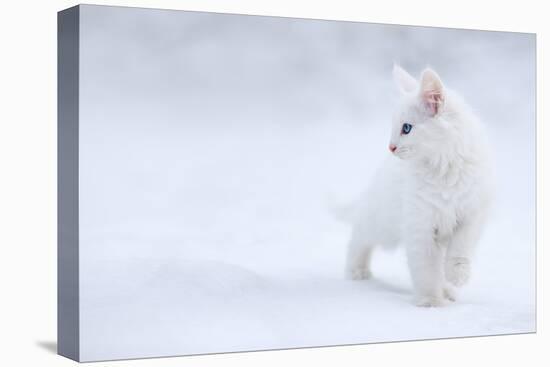 White as Snow-Esmée Prexus-Stretched Canvas