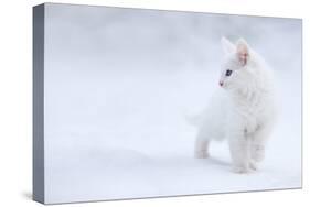 White as Snow-Esmée Prexus-Stretched Canvas