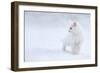 White as Snow-Esmée Prexus-Framed Photographic Print