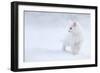 White as Snow-Esmée Prexus-Framed Photographic Print