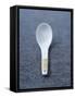 White Asian Soup Spoon-Jean Cazals-Framed Stretched Canvas