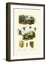 White Aspe, 1833-39-null-Framed Giclee Print