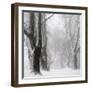 White Avenue-Franz Bogner-Framed Photographic Print