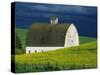 White Barn and Canola Field-Darrell Gulin-Stretched Canvas