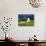 White Barn and Canola Field-Darrell Gulin-Stretched Canvas displayed on a wall