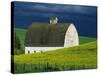 White Barn and Canola Field-Darrell Gulin-Stretched Canvas