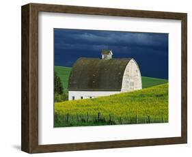 White Barn and Canola Field-Darrell Gulin-Framed Premium Photographic Print