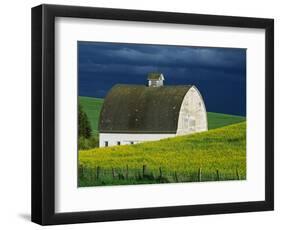 White Barn and Canola Field-Darrell Gulin-Framed Premium Photographic Print